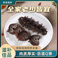 即食海参山东烟台海参渤海湾滋补鲜食冷冻非淡干大连辽参刺参深海