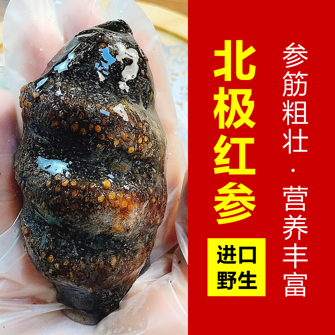 冰岛加拿大俄罗斯深海红极参免泡发野生北极红参海参鲜食即食海参
