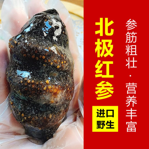 冰岛加拿大俄罗斯深海红极参免泡发野生北极红参海参鲜食即食海参