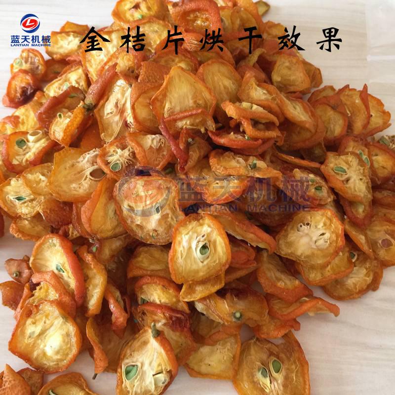桔烘干机 空能金桔片果金茶烘干房 金气金LT-JJJ橘脆皮桔金枣柑烘