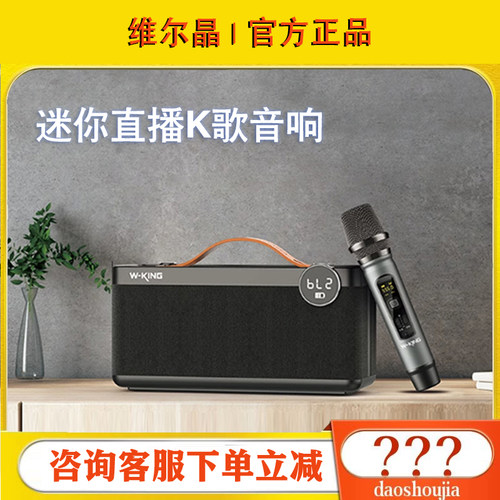 维尔晶 H6II手提便携迷你K歌音响直播蓝牙音箱家用KTV送闺蜜礼品