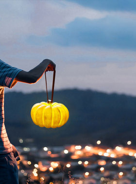 户外防水灯庭院草坪灯别墅灯花园装饰灯太阳能景观灯室内外手提灯