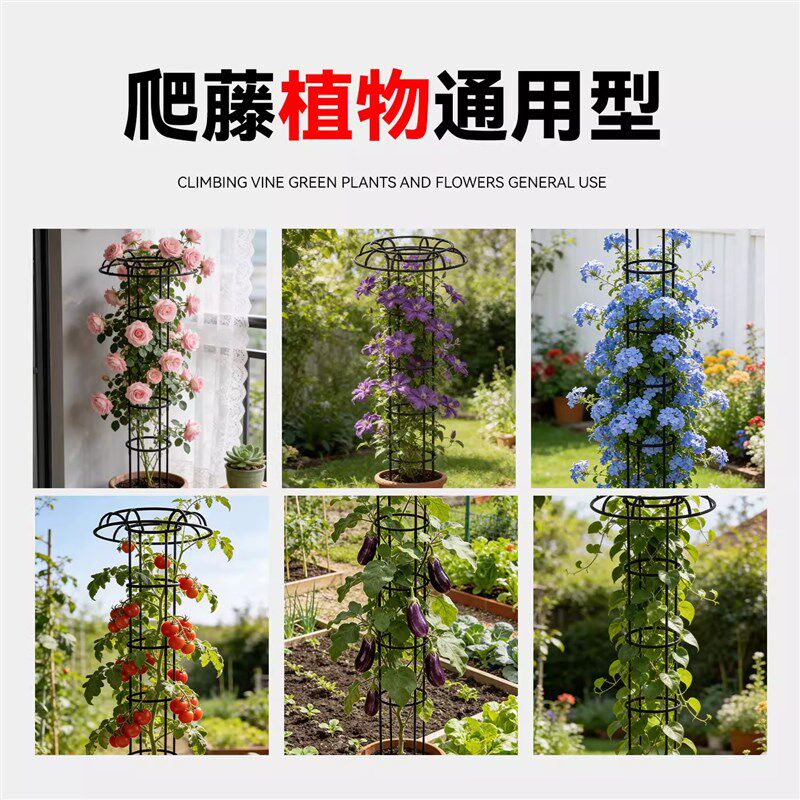 爬藤花架支撑杆月季植物支架铁线莲攀爬架子蓝雪花蔷薇花卉固定架