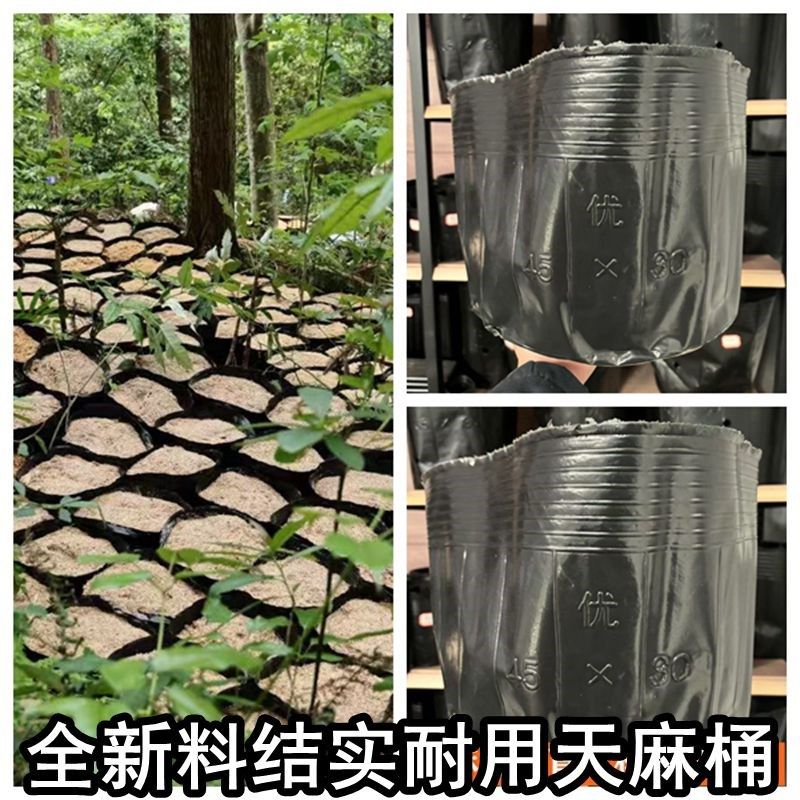 天麻种植桶黑色营养钵加厚大号塑料盆 栽种苗专用花盆魔芋种植袋