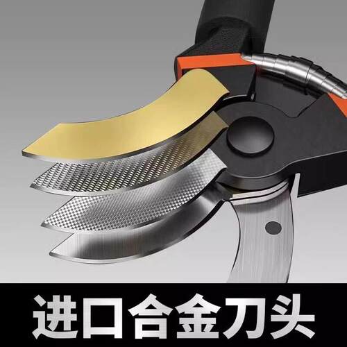 园艺剪刀修枝剪果树剪修树枝专用剪刀剪枝工具家用花艺园林修剪器