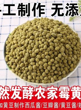 农家新货自然发酵霉黄豆捂黄豆可做西瓜酱辣椒酱豆瓣酱黄豆鼓酱油