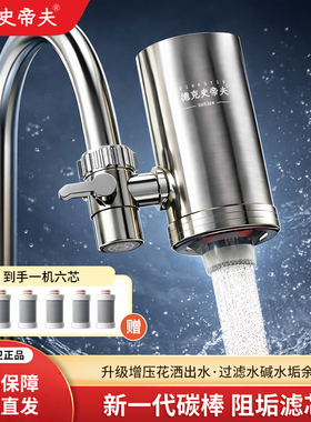 德克史帝夫家用水龙头净水器厨房前置史蒂夫斑马鱼净怡泉过滤余氯