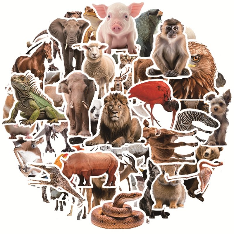 50张写实动物贴纸野生动物世界狮子大象贴画儿童认知趣味创意文具装饰手账本ipad电脑滑板车DIY贴画不留胶,3C数码配件,笔记本个性小贴纸,淘宝优惠券,粉丝福利购,淘宝优惠卷