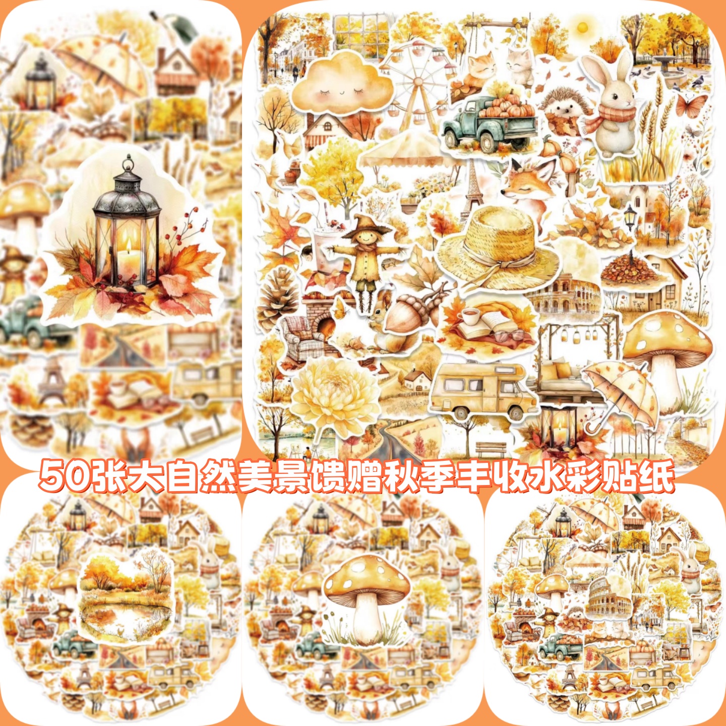 50张秋季丰收水彩贴纸装饰防水贴