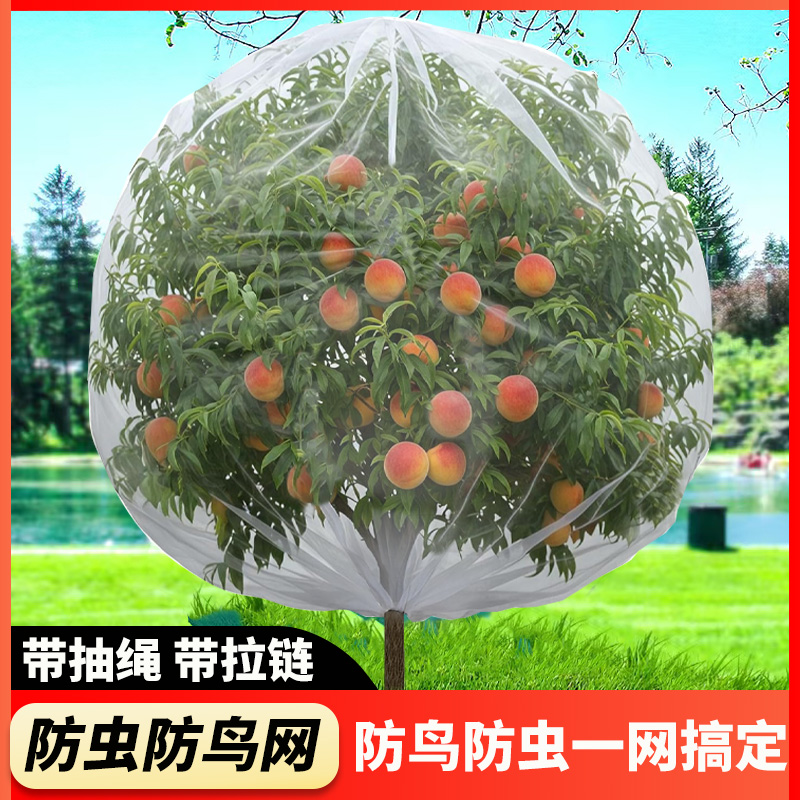 果树防虫网罩樱桃蓝莓嘉宝果