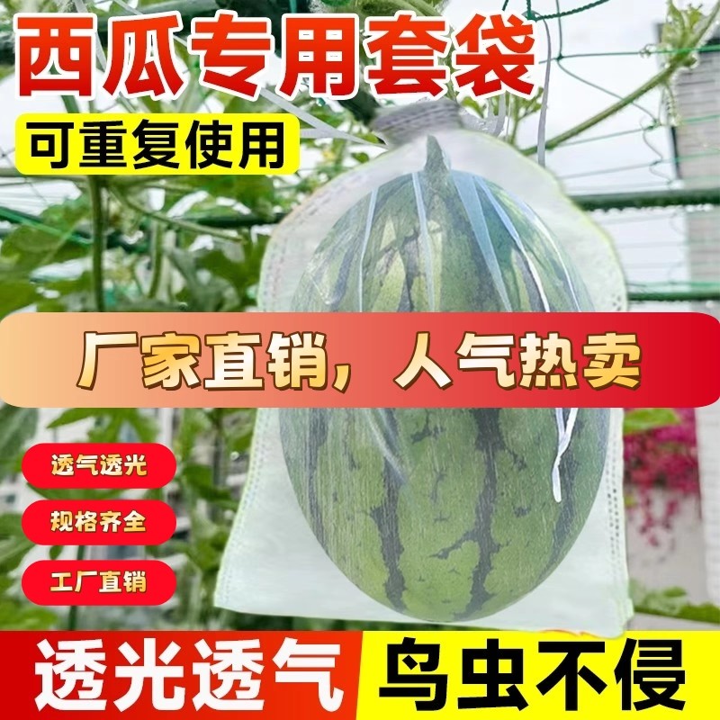 西瓜套袋防虫防鸟使用袋尼龙