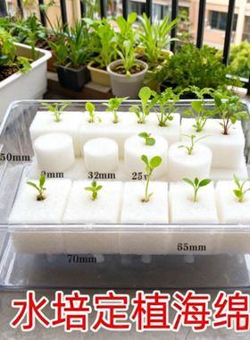 无土栽培定植棉蔬菜固定海绵水培菜吸水海绵种菜固根大棚种菜海绵