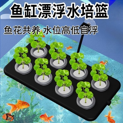 漂浮壁挂吸盘式水培定植篮