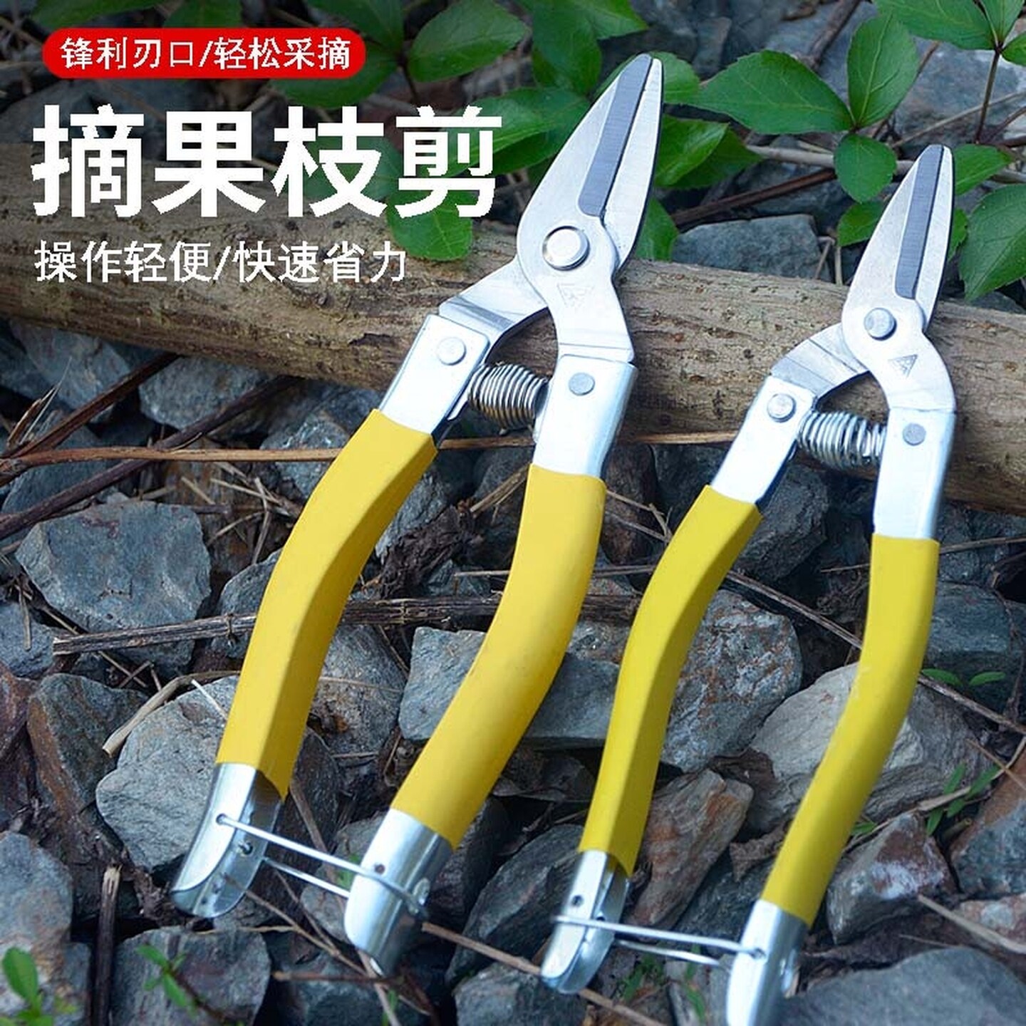 修枝蔬果剪园艺剪刀长柄中黄小黄稀果剪园林剪不锈钢摘果剪橘子剪