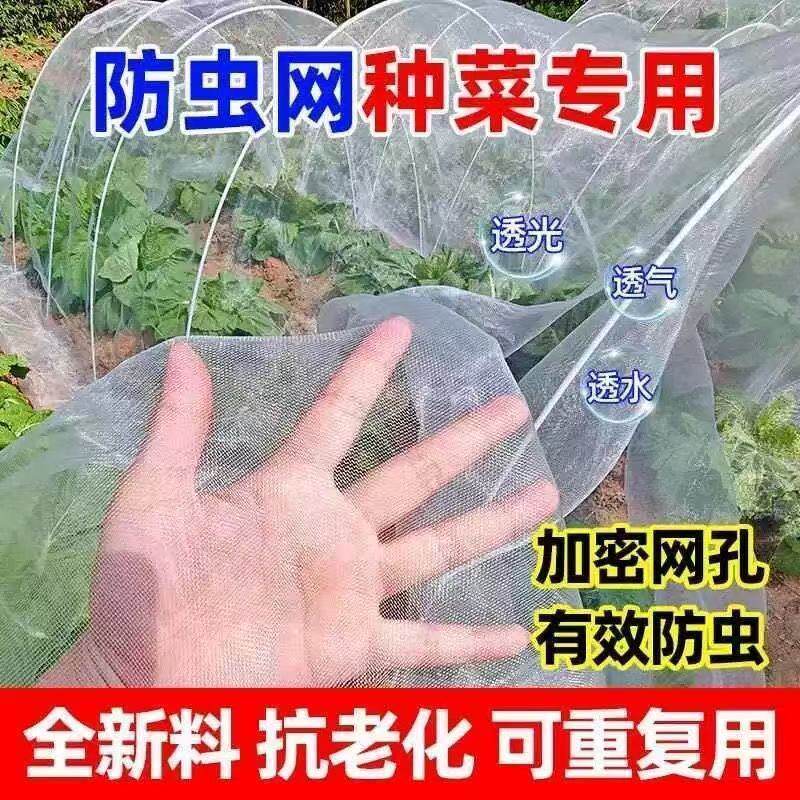 防虫网种菜专用网80目防虫罩加密纱网菜苗菜地果园网蔬菜防鸟罩