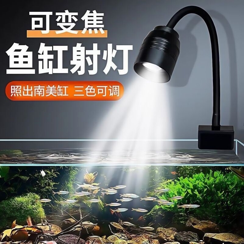 迷你防水可调焦鱼缸夹灯