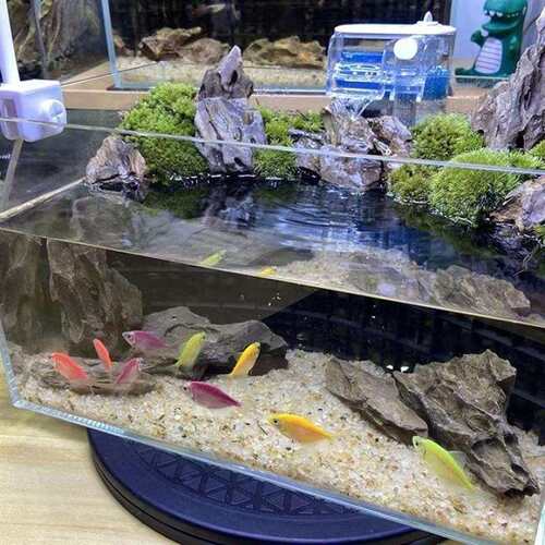 K可1水陆缸造骨架箱小型超白缸水缸桌面小鱼缸水族乌龟景PZG缸加