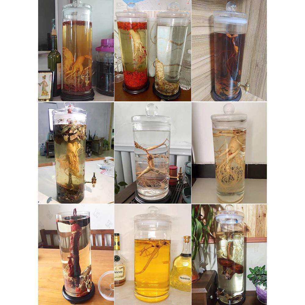 2221VPR泡酒玻瓶0专用酒带龙头家用密封罐20斤瓶5斤人参鹿璃茸泡