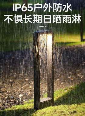 户外坪l灯现代简约edGZC-DFZM草插灯别墅地花园灯庭院灯防水景观