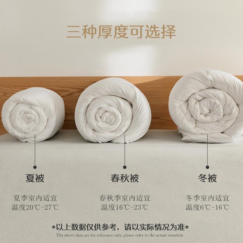 店80XISHE-無白鸭绒被芯羽绒被子夏被春秋被酒母民宿厚冬被子被加