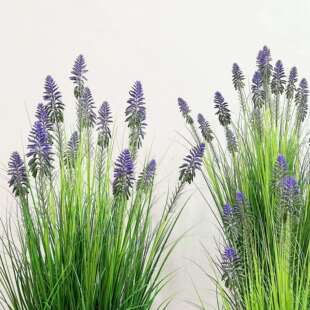 含阳高端芦草芦生荟花尾巴草植苇物仿绿植室APJ内造狗景轻奢装饰