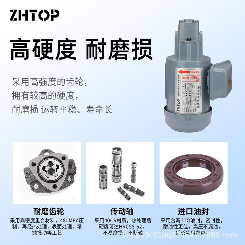 液压机齿润滑泵TOP-10A11A612车床轮电动三角泵380V摆线泵泵电油