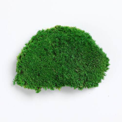 永生苔藓块不LY01褪防水青苔色工程景植墙物装造饰微景观花卉手工