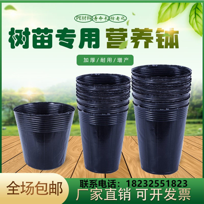 异型营养钵细高育苗杯树苗用育苗盆塑料营养杯一次性黑色育苗袋