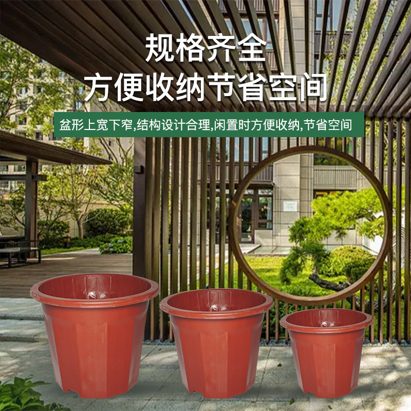 塑料花盆育苗盆加厚耐用多肉种植盆大小号家用圆形绿植盆特价清仓