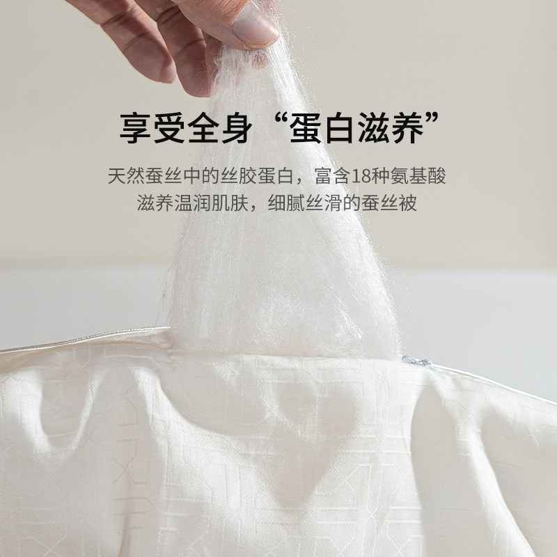 KASAA类100%纯蚕丝加厚被子被芯冬被空调被春秋被四季通用