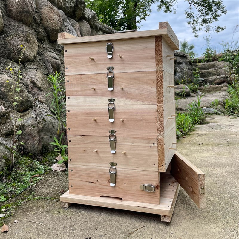养蜂专用杉木蜂箱碳化懒人蜂箱全套蜜蜂巢蜜土养箱五层中蜂格子箱
