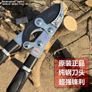 修剪树枝剪园艺粗枝果树园林大力竹子专用电花树枝伸缩动剪刀钳子