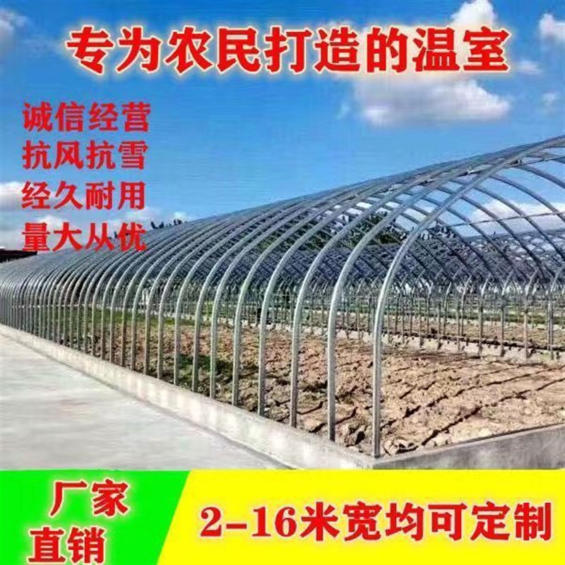种植大棚大棚骨架养殖大棚鸡棚养猪棚蔬菜大棚花卉棚温室大棚全套