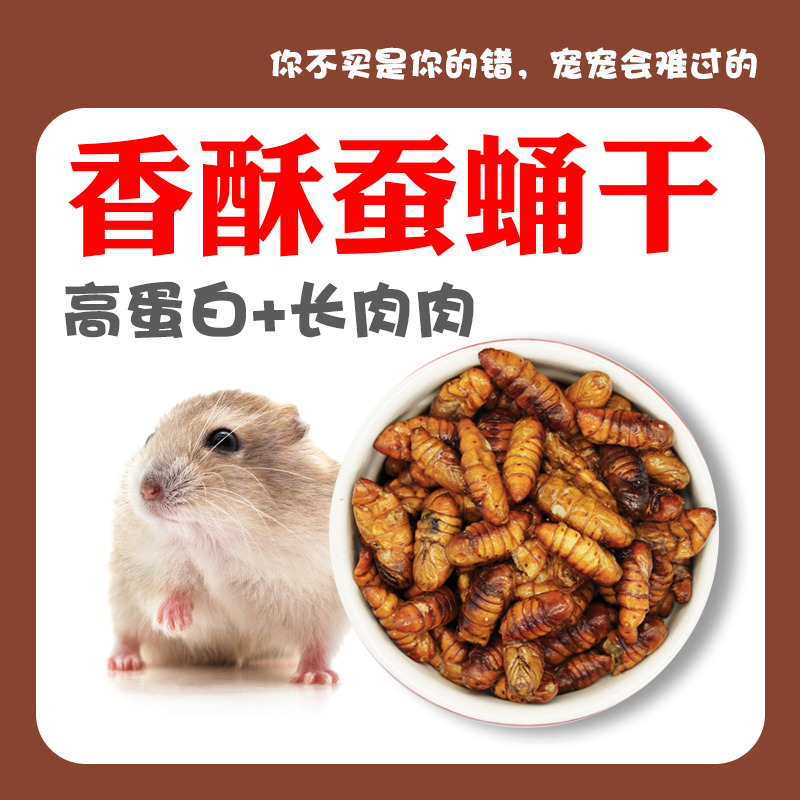 仓鼠零食长膘干蚕蛹干多种氨基酸高钙增肥高蛋白金丝熊长肉增肥