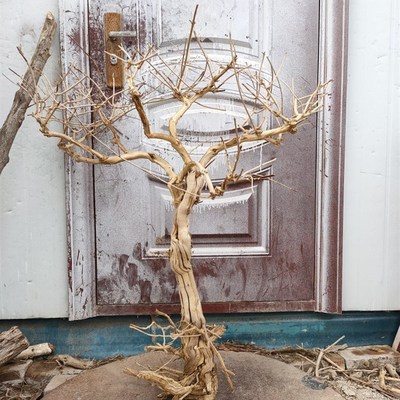 金银花造型干树枝枯树支造型树支树杈实木树枝手工树枝树杈干支花