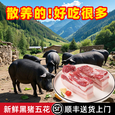 五花肉新鲜安徽皖南土黑猪肉生鲜肉类排骨瘦肉肉食梅花肉肥肉烧烤