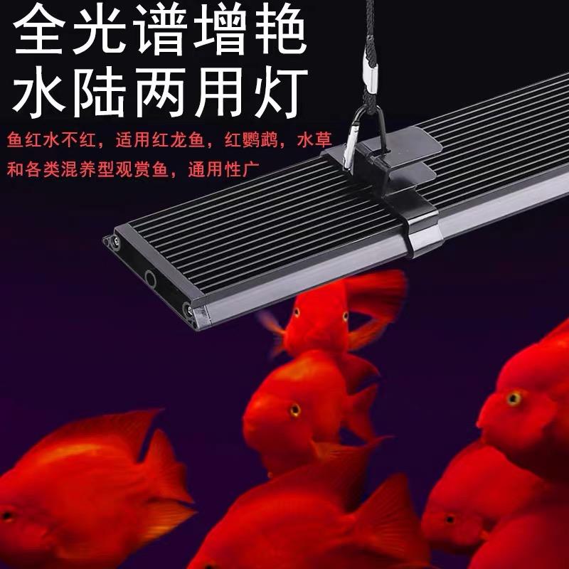 全光谱增艳三基色红龙发色鹦鹉锦鲤水草水族箱爆藻水陆两用鱼缸灯
