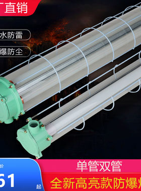 国标led防爆灯管隔爆型单双支工厂车间仓库厨房防尘水潮三防灯管