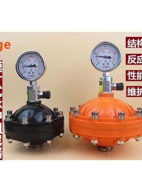 脉动阻尼器 1+1/4