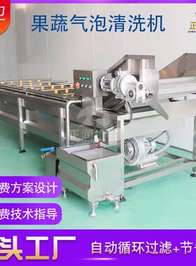 供应海棠果清水洗机 果加 KQH工洗果厂清机 现货全自动蛇皮果洗机