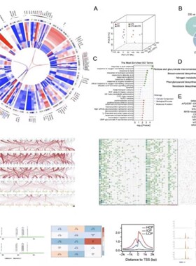 网络药理学专业代做ppi网络图cytoscape作图分子对接GSEA富集分析