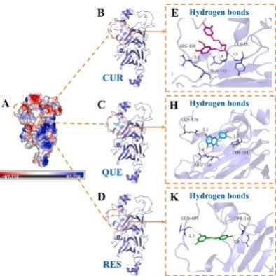 分子对接 共价对接 批量虚拟筛选 蛋白与蛋白 DNA/RNA-蛋白 柔性