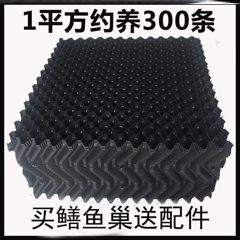 极速黄鳝养殖巢巢立体水s产养殖设备塑料蜂窝鱼槽热卖渔业用具鳝
