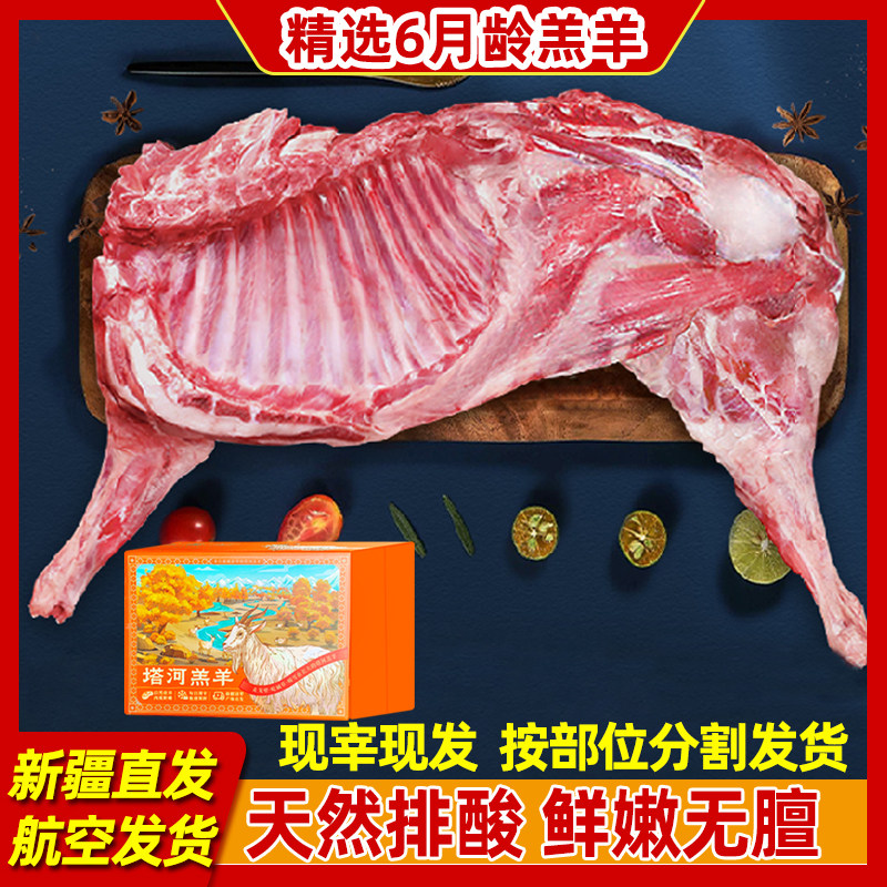 正宗新疆塔河有机乳羔羊精选整只可分割现宰新鲜羊肉生鲜礼盒包邮
