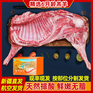 正宗新疆塔河有机乳羔羊精选整只可分割现宰新鲜羊肉生鲜礼盒 包邮