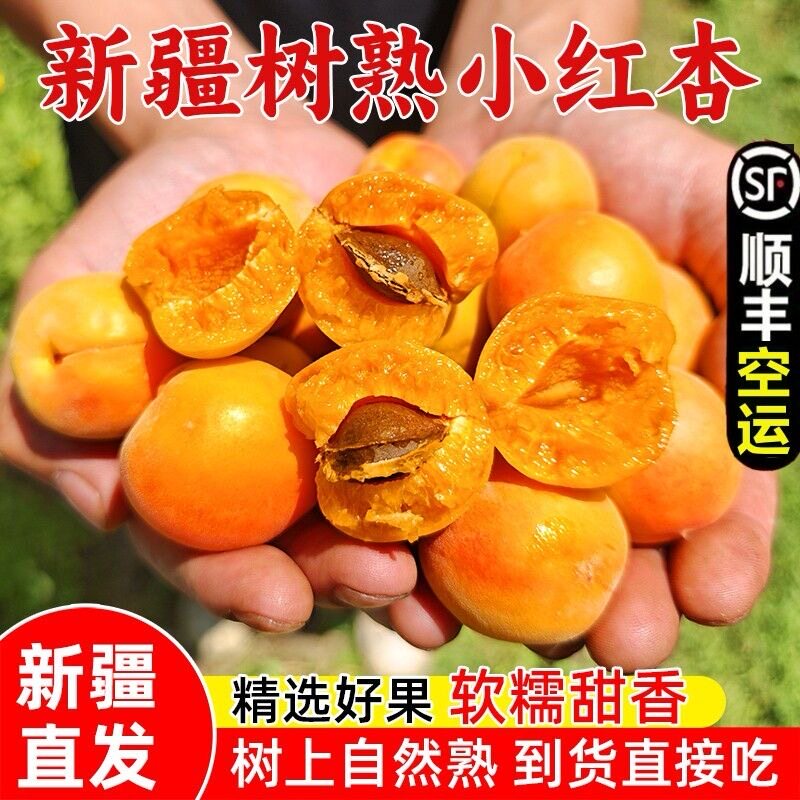 正宗新疆阿克苏小红杏应当季新鲜孕妇水果吊干杏纯甜杏子顺丰空运