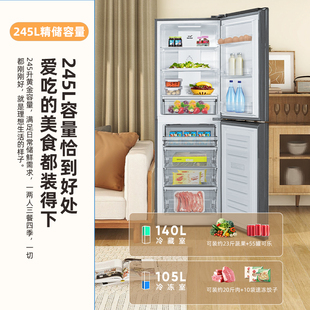 245WK2AT双门除菌净味风冷节能租房家用电冰箱 BCD Frestec 新飞
