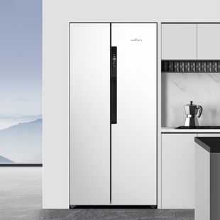 450WKQ9AT BCD 2零嵌风冷一级家用变频对开门电冰箱 新飞 Frestec