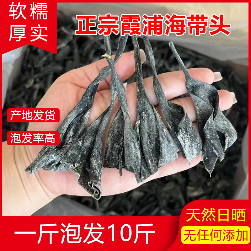 正宗福建霞浦特厚级海带头干货厚实软糯海带根海带海产品海带丝,粮油调味/速食/干货/烘焙,干货组合/料包/汤包/干货礼盒,淘宝优惠券,粉丝福利购,淘宝优惠卷