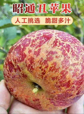 正宗云南昭通糖心丑苹果新鲜当季整箱红富士脆甜高端高档水果礼盒